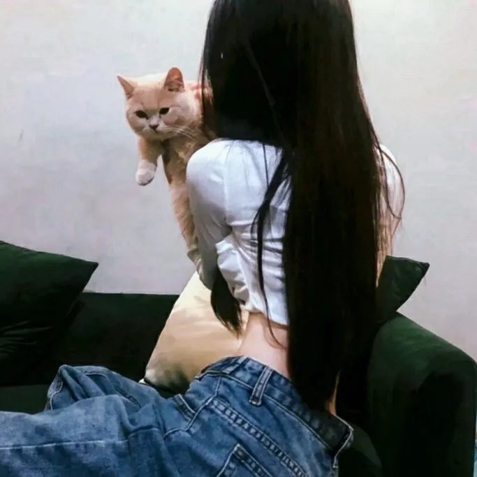 酋长之子塔赞